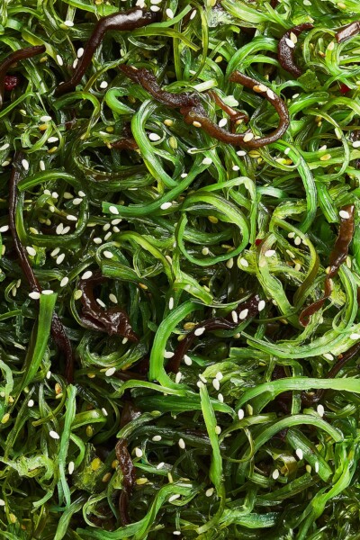 Nahaufnahme essbare Algen mit Sesam Seafood: Grüne Algen mitSesam