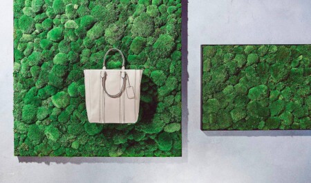 Handtasche BOSS auf Moos fotografiert.