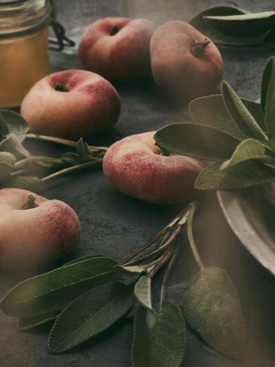 Food still-life Marmelade Pfirsich Salbei Still-life Marmelade Pfirsich Salbei.